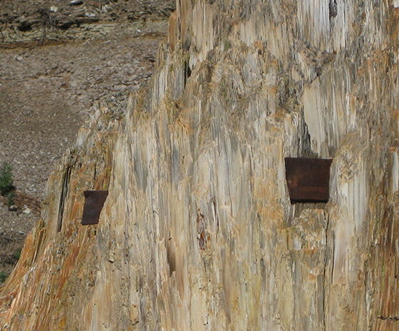 BigStumpSawBladesCloseUp