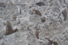 Associated Slab