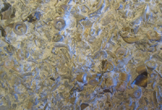 Associated Slab