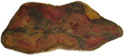 Pentoxylon-like wood