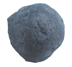 Button Coral