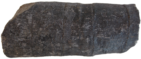 Calamites Pith Cast