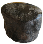 Dinosaur Vertebra