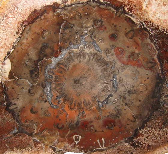 Guairea carnieri