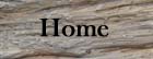 Home Button