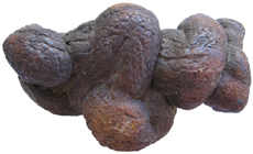 Pseudocoprolite