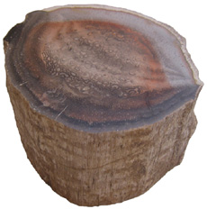Titea Log