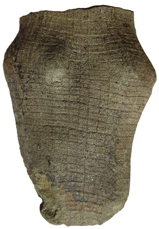 Hydnoceras