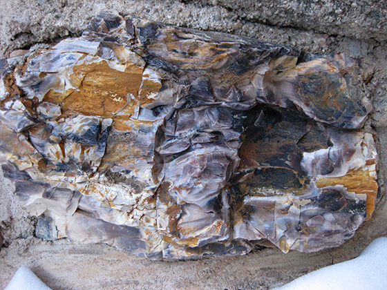 Cherokee Castle Petrified Wood